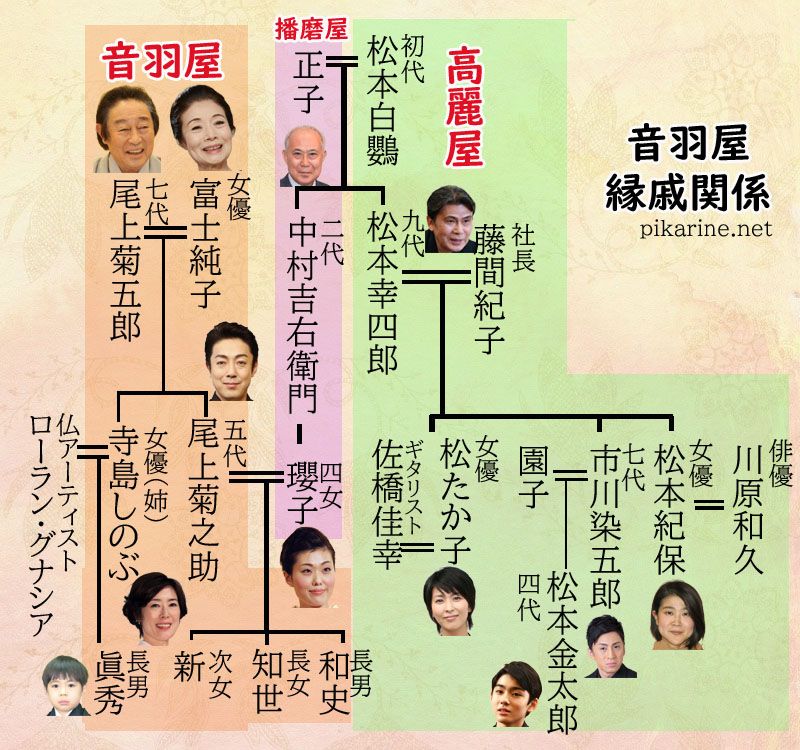 幸四郎 家 系図 松本 松本幸四郎の家系図に驚き！息子や妻、弟、娘！歌舞伎界は親戚だらけ