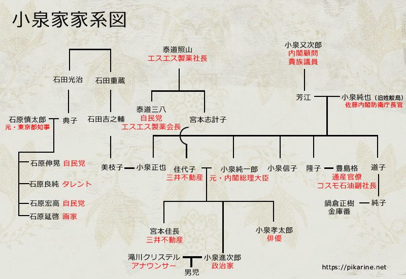 小泉家の家系図が華麗すぎ 家族構成や三男の存在 親戚関係まとめ