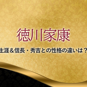 徳川家康の 家系図 織田信長や豊臣秀吉と親戚関係を簡単に 徳川家康の 家系図 織田信長や豊臣秀吉と親戚関係を簡単に